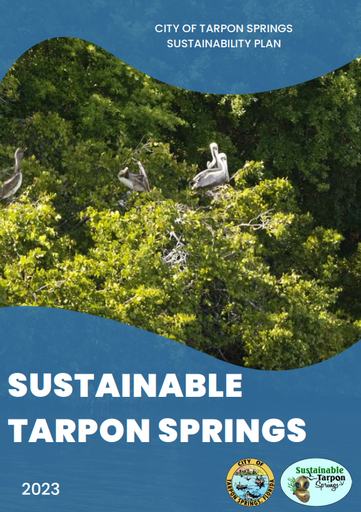 Sustainability Plan PDF