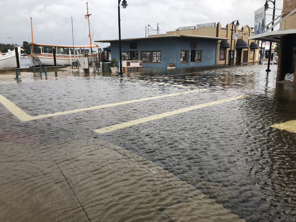 Flooding observed on Dodecanese Boulevard in Tarpon Springs.